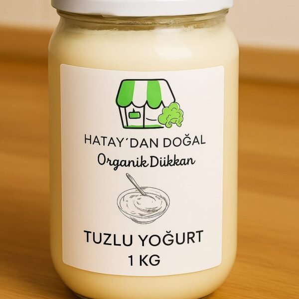 tuzlu-yogurt